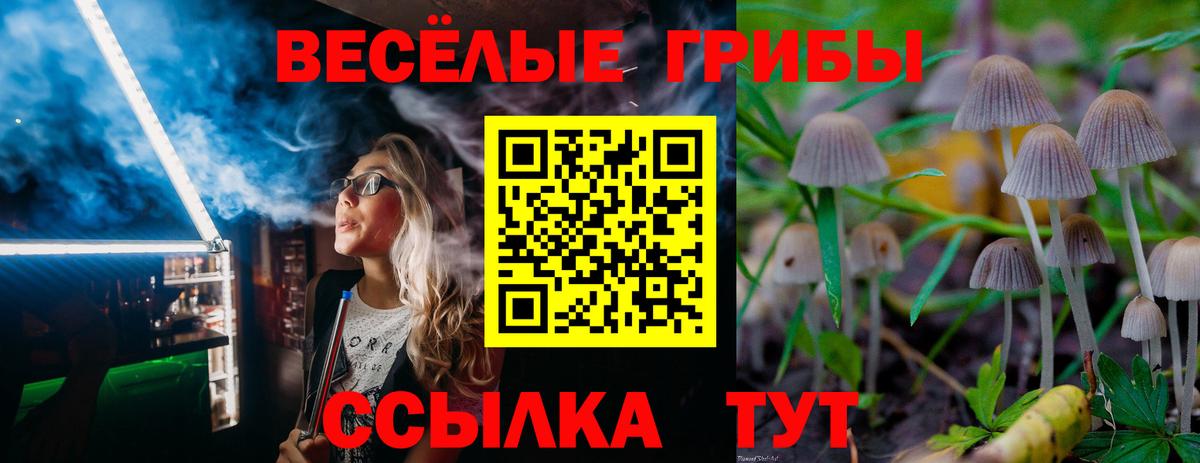 Сунжа  Псилоцибиновые грибы мицелий  Вход с VPN 